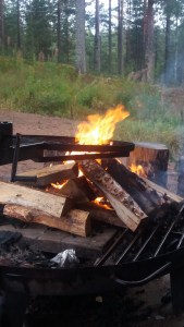 Laavuilta 18.8.2016.