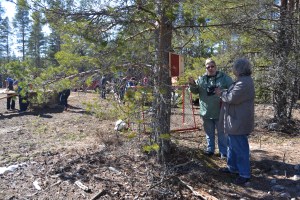 Pönttötalkoot 02.04.2016. Ensimmäisiä pönttöjä sovitellaan puuhun. 