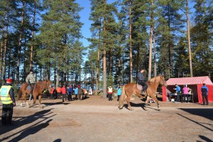Ruskaretkellä olivat mukana myös Niinisalon ratsastajat.